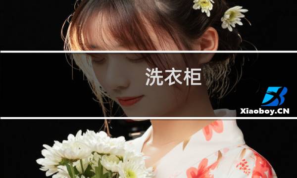 洗衣柜 阳台 - 阳台柜子洗衣机柜储物柜图片